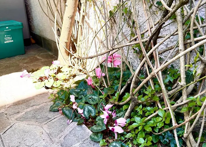 Casa Di Francesca Appartement